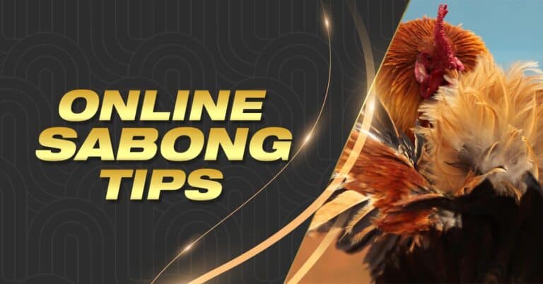 bingo plus rewards 500 where to bet csgo skins